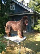 Превью фото № 160767