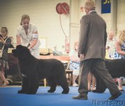 Превью фото № 160814