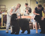 Превью фото № 160819