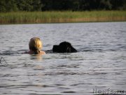 Превью фото № 160855