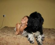 Превью фото № 160897