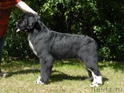 Превью фото № 160904