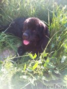 Превью фото № 160916