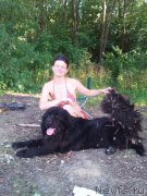 Превью фото № 160917