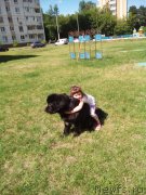 Превью фото № 160918