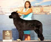 Превью фото № 160923