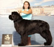 Превью фото № 160924