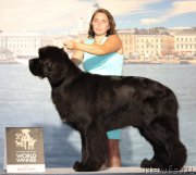 Превью фото № 160926