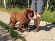 Превью фото № 160935