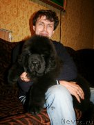 Превью фото № 160945