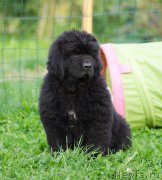 Превью фото № 161042