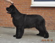 Превью фото № 161108