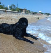 Превью фото № 161114