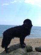 Превью фото № 161116