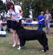 Превью фото № 161137