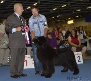 Превью фото № 161243