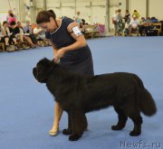 Превью фото № 161246