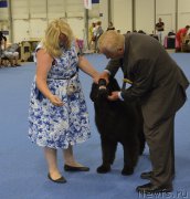 Превью фото № 161249