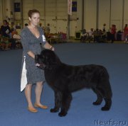 Превью фото № 161252