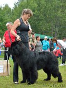 Превью фото № 161261