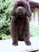 Превью фото № 161273