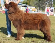 Превью фото № 161377