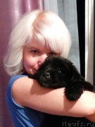 Превью фото № 161388