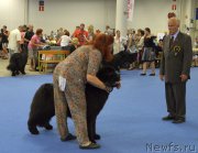 Превью фото № 161389