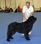 Превью фото № 161391