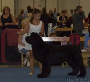 Превью фото № 161398