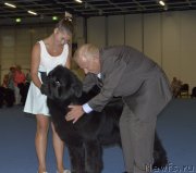 Превью фото № 161401