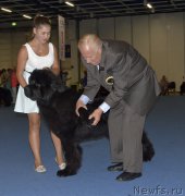 Превью фото № 161402