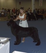 Превью фото № 161405