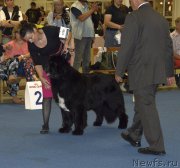 Превью фото № 161407