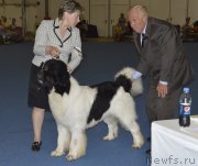 Превью фото № 161421