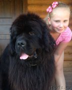 Превью фото № 161435