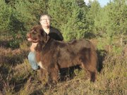 Превью фото № 161440