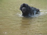 Превью фото № 161593