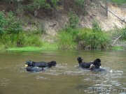 Превью фото № 161594