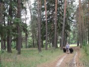 Превью фото № 161599