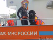 Превью фото № 161661