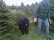 Превью фото № 161676