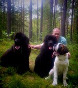 Превью фото № 161689