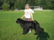 Превью фото № 161712