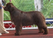 Превью фото № 161722