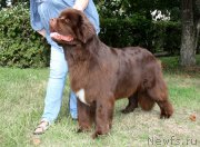 Превью фото № 161723