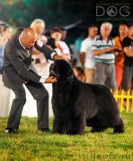 Превью фото № 161728