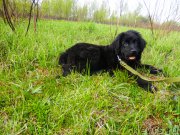 Превью фото № 161760