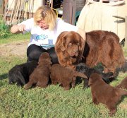 Превью фото № 161764