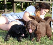 Превью фото № 161765